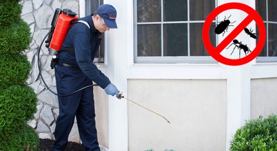 Sincan Fare İlaçlama böcek ilaçlama ve haşere kontrolü — ilaclama-tr.com